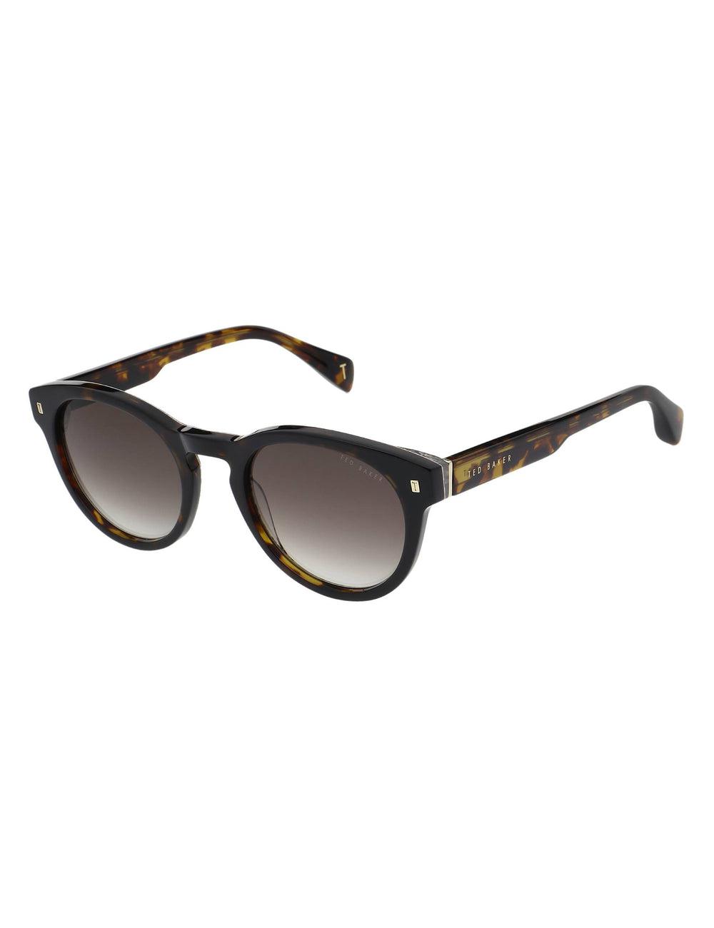 Ted Baker DAX - Round Chunky Temple Zonnebril Heren Bruin | GWXZ-48395