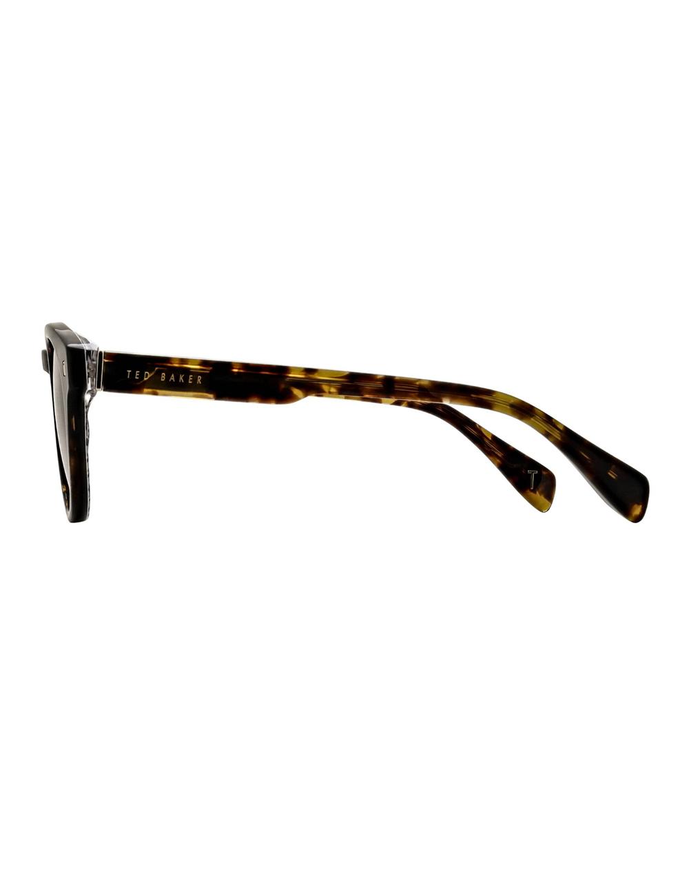 Ted Baker DAX - Round Chunky Temple Zonnebril Heren Bruin | GWXZ-48395