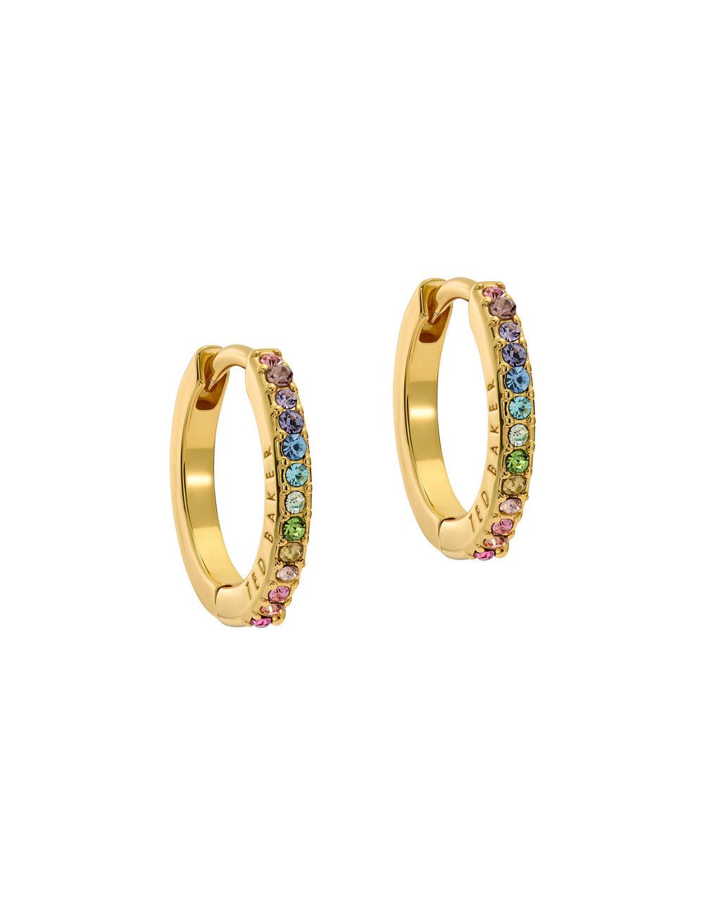 Ted Baker HEPLIE - Crystal Huggie Hoop Oorbellen Dames Multicol | MPZN-42695