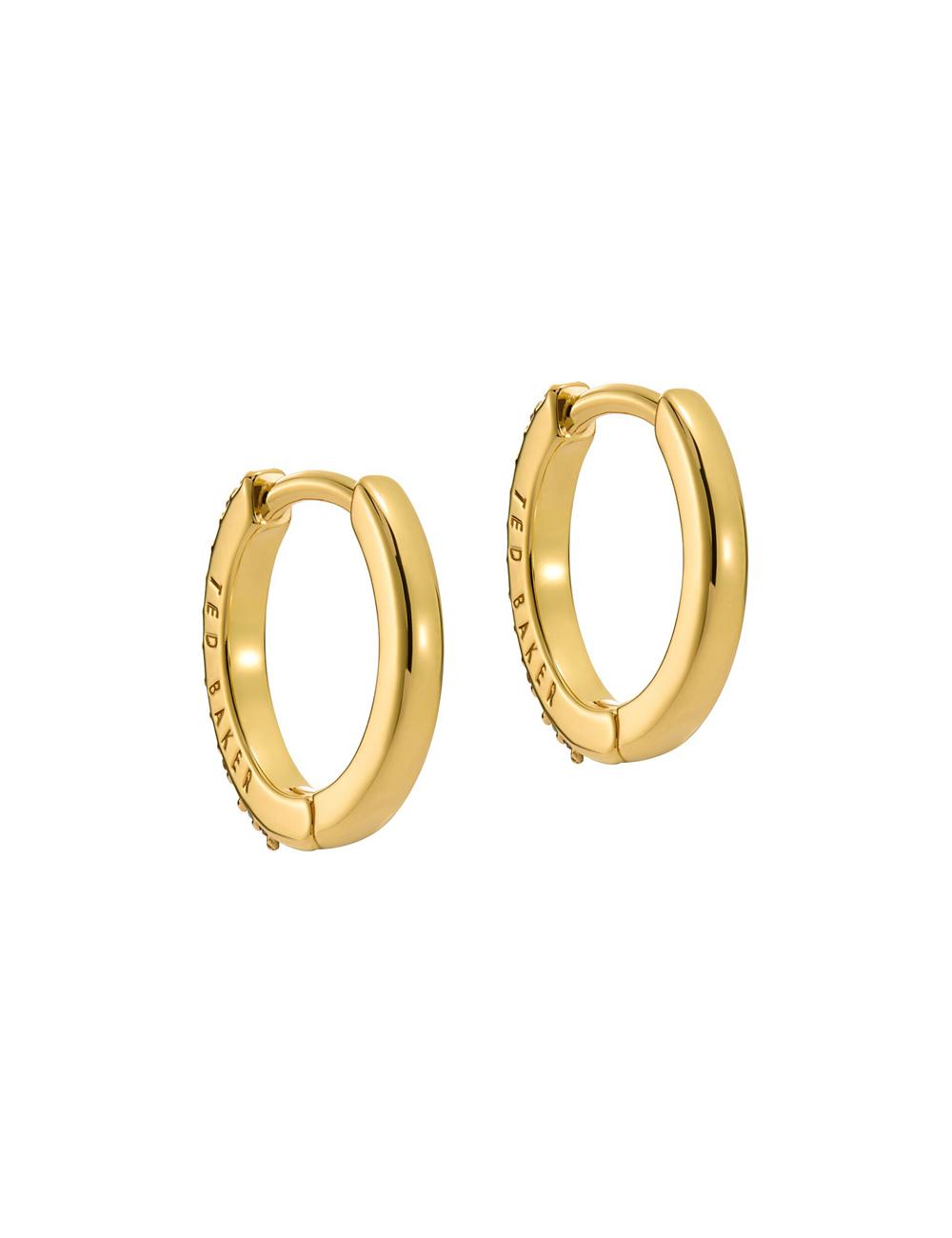 Ted Baker HEPLIE - Crystal Huggie Hoop Oorbellen Dames Multicol | MPZN-42695