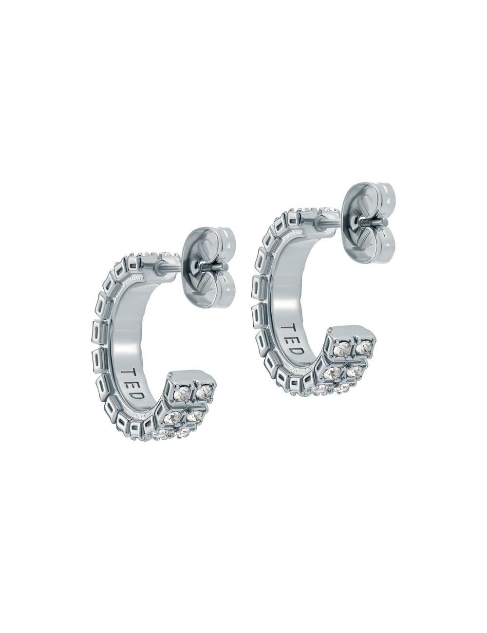 Ted Baker MELLRIE - Double Row Crystal Hoop Oorbellen Dames Zilver | CWAS-40659