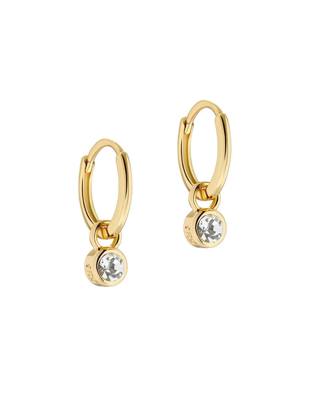 Ted Baker SINALAA - Crystal Pendant Huggie Oorbellen Dames Goud | SAPW-93581